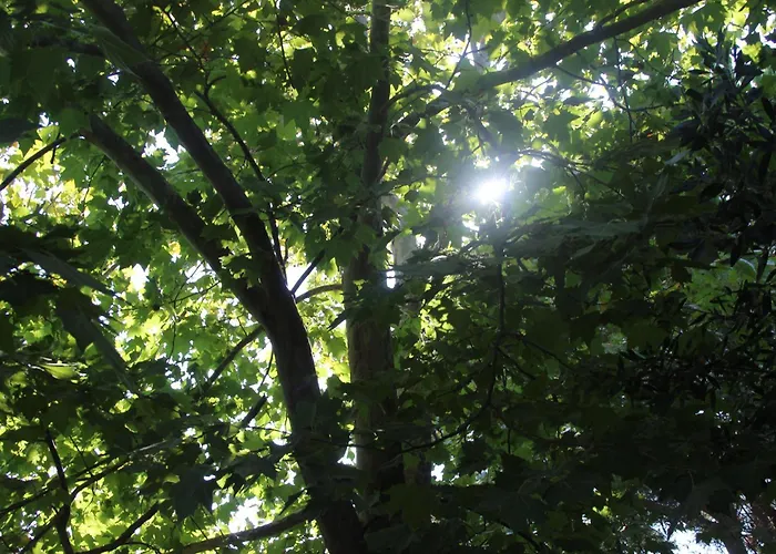 Prázdninový dům Sea Breeze Kato Achaia