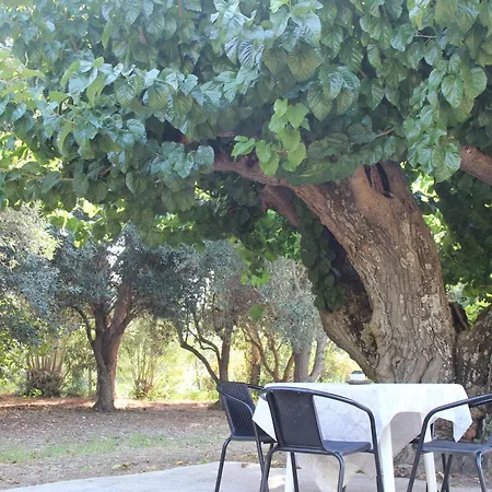 בית נופש Sea Breeze