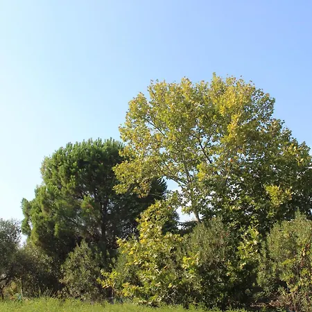 Sea Breeze בית נופש