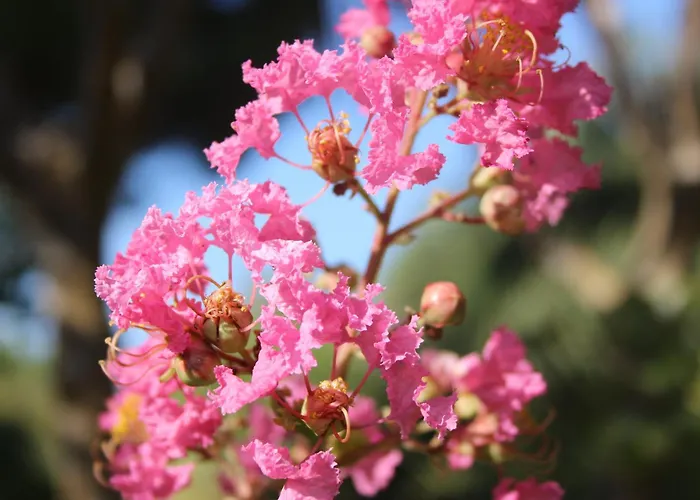 Sea Breeze Semesterbostad