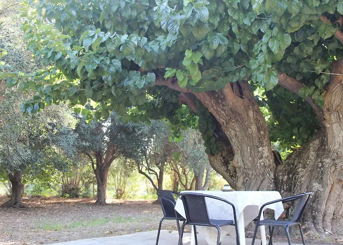 Semesterbostad Sea Breeze